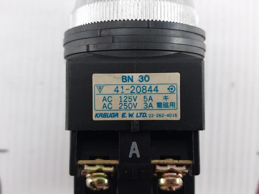 Bn-30-Control-Switch-Kasuga-208794-11