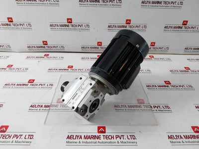 Bodine Electric 42Y6Bfpp Ac Gearmotor 60Hz Ip44 Iec-34-1 H5K0023C0005P 17Nm