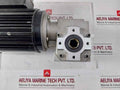 Bodine Electric 42Y6Bfpp Ac Gearmotor 60Hz Ip44 Iec-34-1 H5K0023C0005P 17Nm