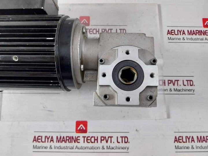 Bodine Electric 42Y6Bfpp Ac Gearmotor 60Hz Ip44 Iec-34-1 H5K0023C0005P 17Nm