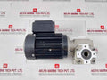 Bodine Electric 42Y6Bfpp Ac Gearmotor 60Hz Ip44 Iec-34-1 H5K0023C0005P 17Nm