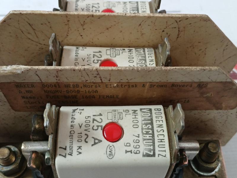 Bogenschutz Nh00 7999 Fuse Link 125A 500V 100 Ka