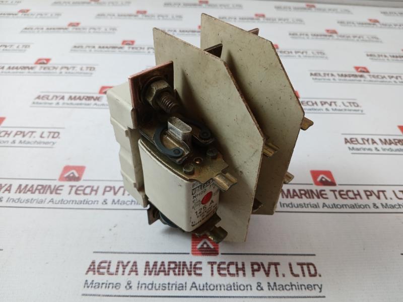 Bogenschutz Nh00 7999 Fuse Link 125A 500V 100 Ka