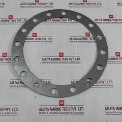 Bonnet Gasket For Swing Check Valve Se078 080F