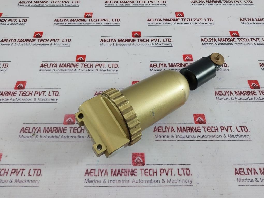 Bosch Dn15 Pn25 Pneumatic Air Filter Z410 30 F24-1 Housing