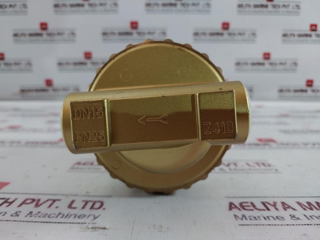 Bosch Dn15 Pn25 Pneumatic Air Filter Z410 30 F24-1 Housing