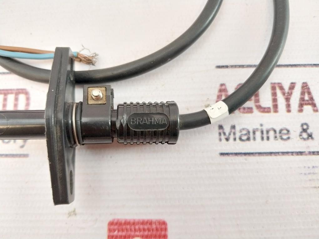 Brahma Fc11 Flame Sensor