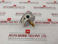Brannan En 837-1 Pressure Gauge With Clamp 0 To 40 Bar 516050