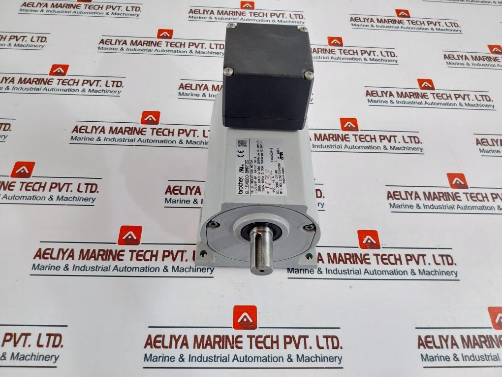 Brother Gl15N060bmrf2C Induction Gear Motor Ip20 En600341 Aeliya