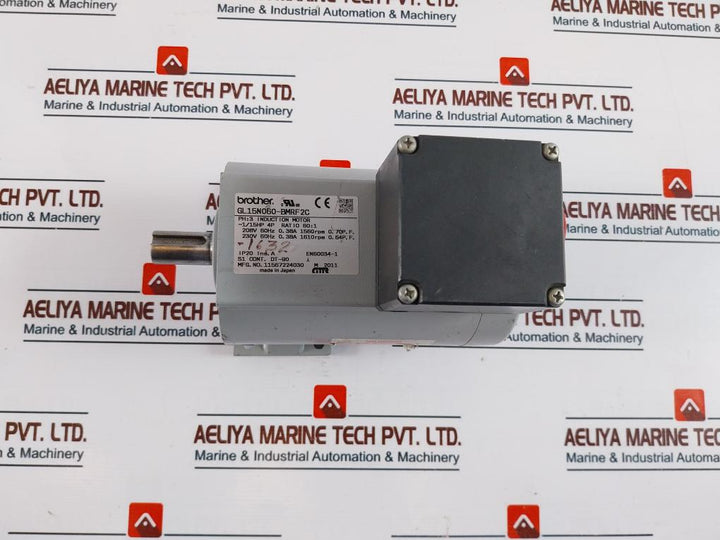 Brother Gl15N060-bmrf2C Induction Gear Motor Ip20 En60034-1