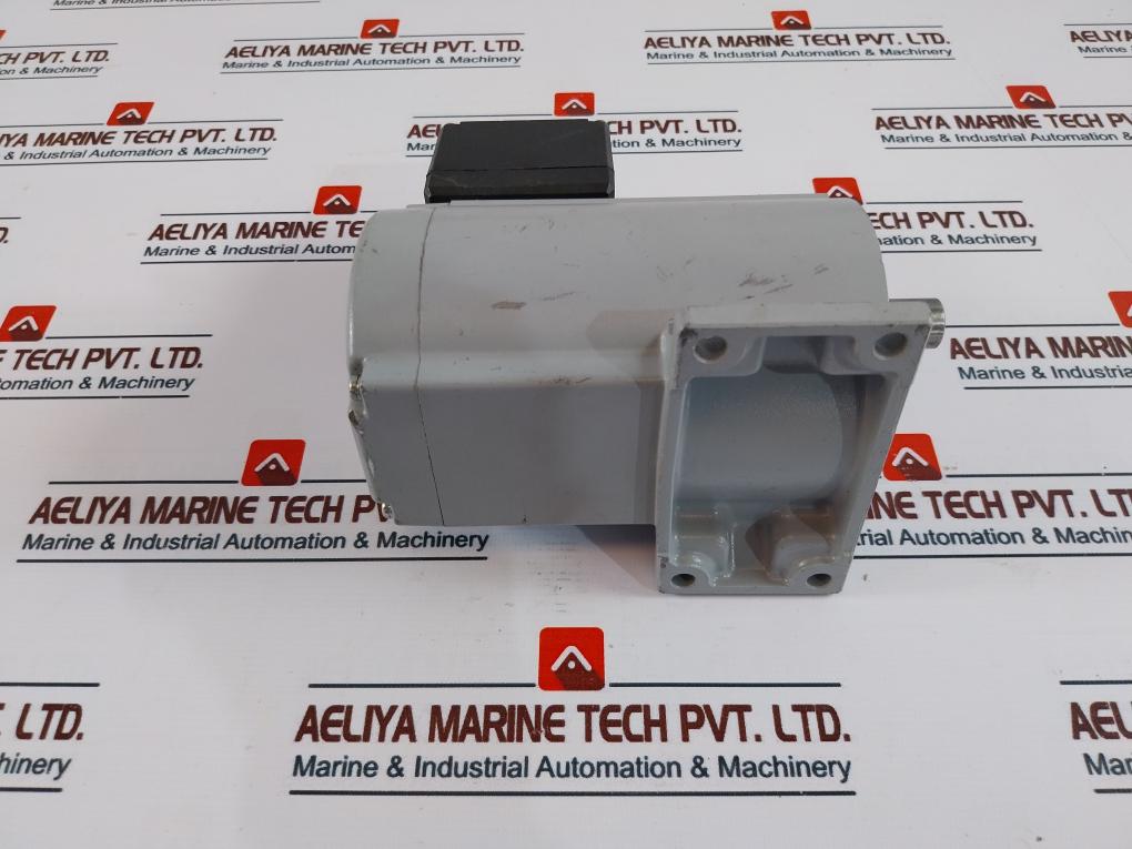 Brother Gl15N060-bmrf2C Induction Gear Motor Ip20 En60034-1