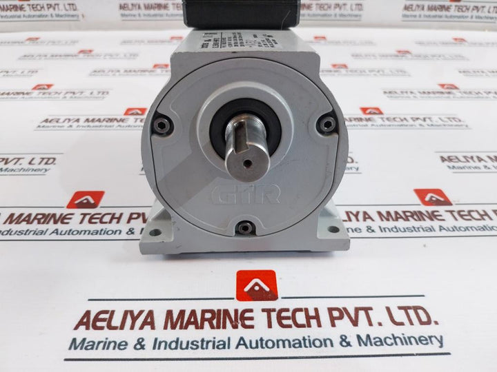 Brother Gl15N060-bmrf2C Induction Gear Motor Ip20 En60034-1