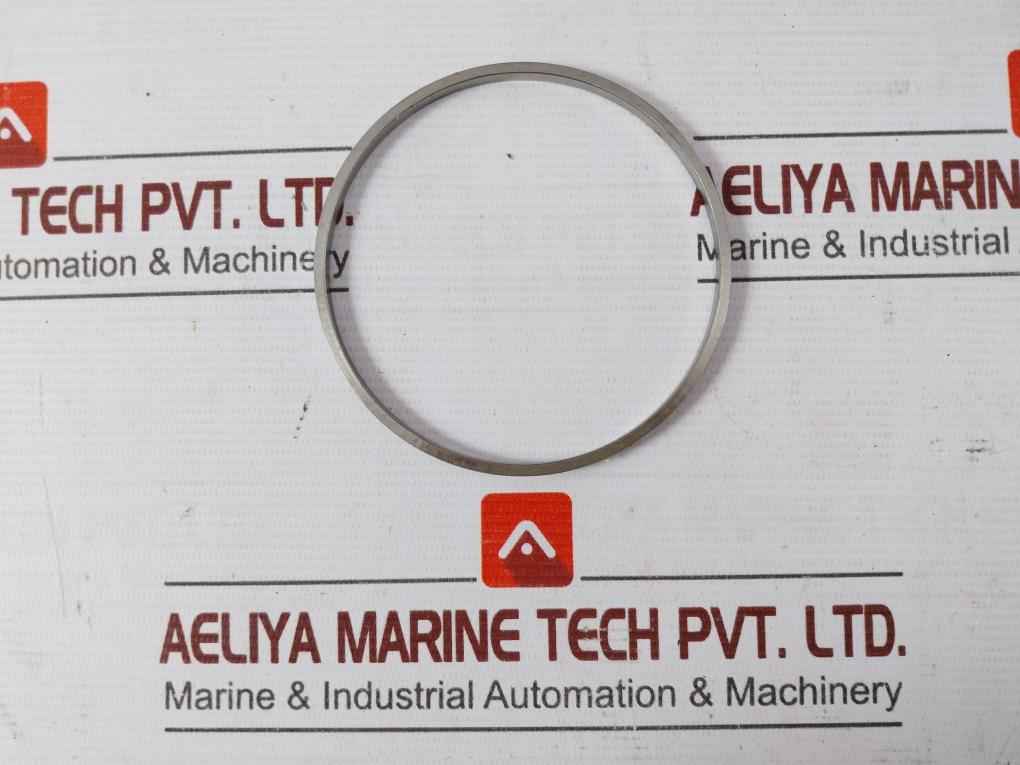 Bs-3010V Backup Ring - Wom Choke Manifold Seal 30178344