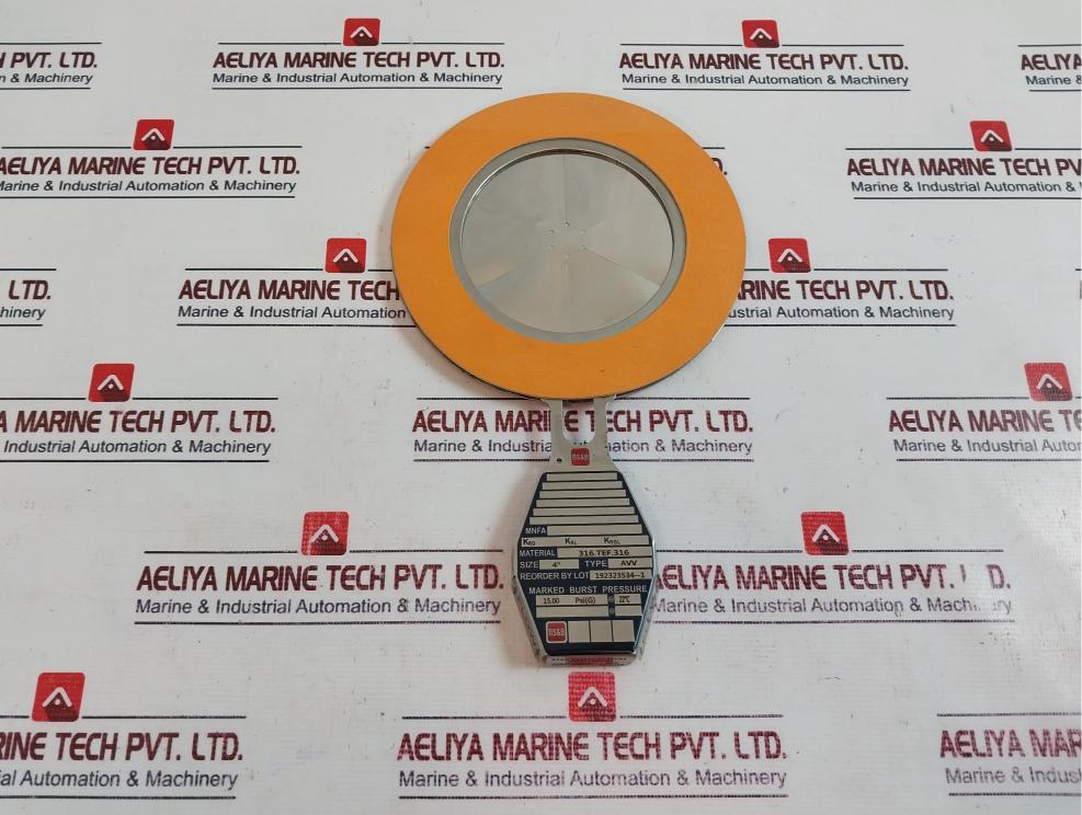BS & B AVV 4" Rupture Disc 15.00 PSI(G) @ 22°C