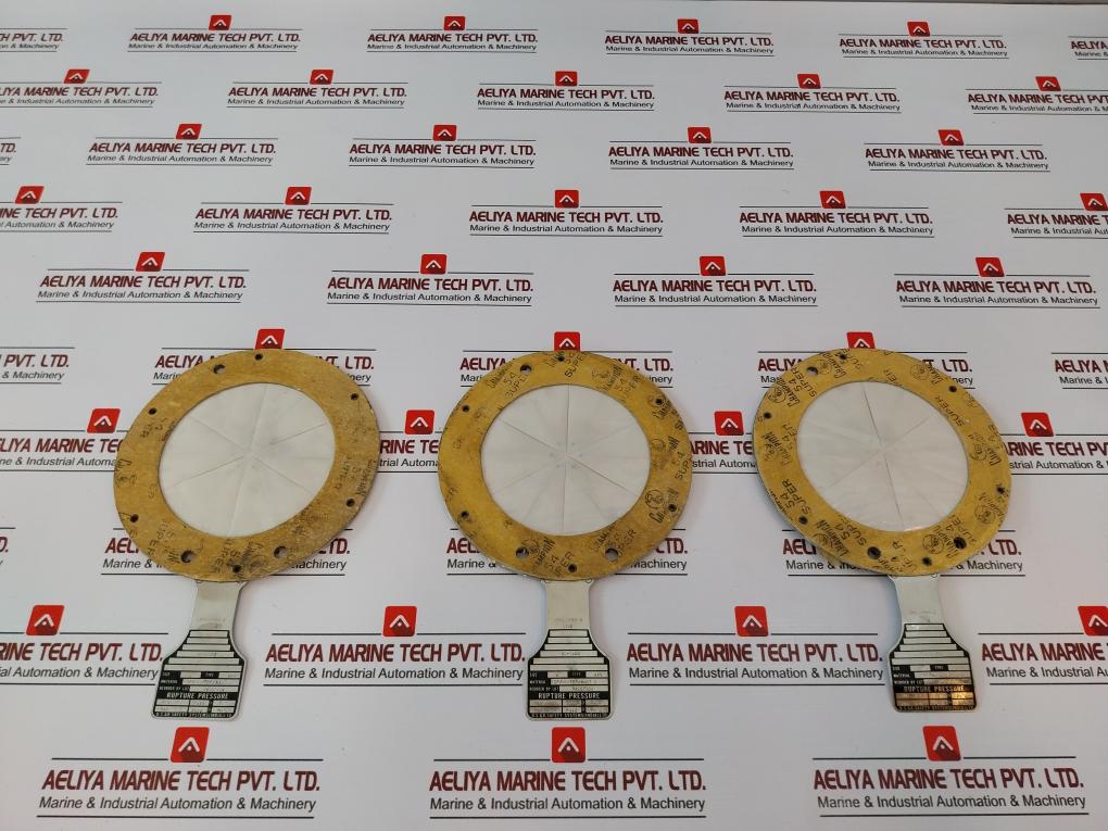 Bs&b Safety Systems Avv Rupture Disk Size 4 Inches