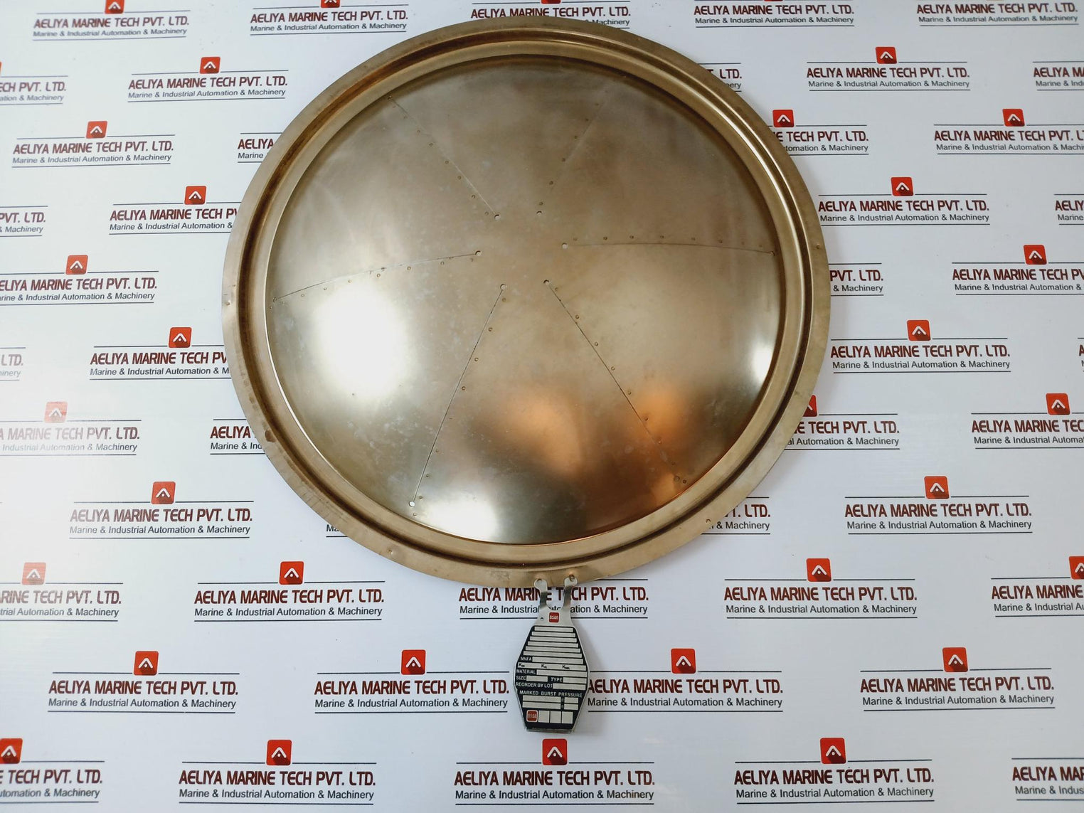 BS&B Safety Systems DV Composite Foward Acting Rupture Disc 18”