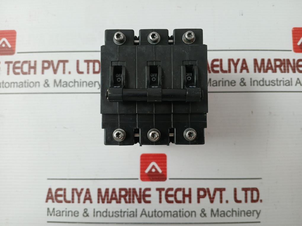 Bsb Circuit Breaker B3T1-60.0/250-36A3-1071, 60A 250V