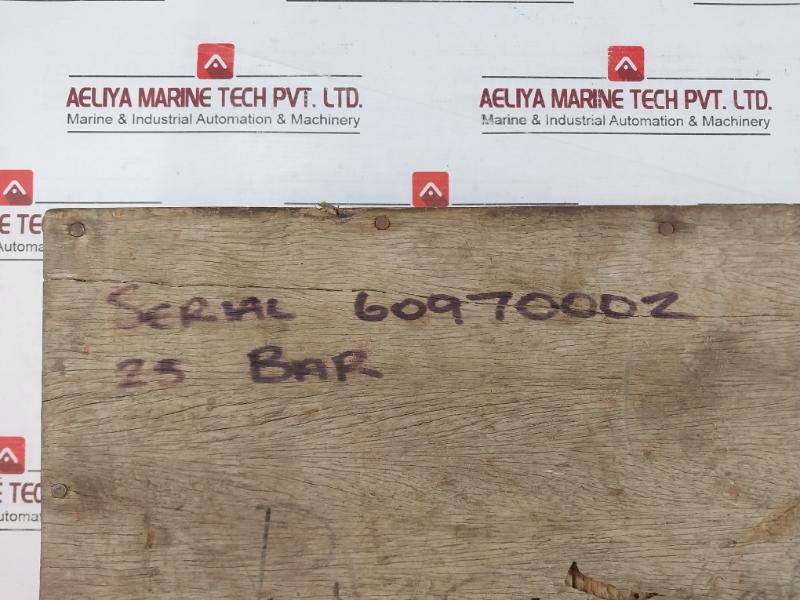 Budenberg 316 S.S. Tube Standard Test Pressure Gauge 0-25 Bar