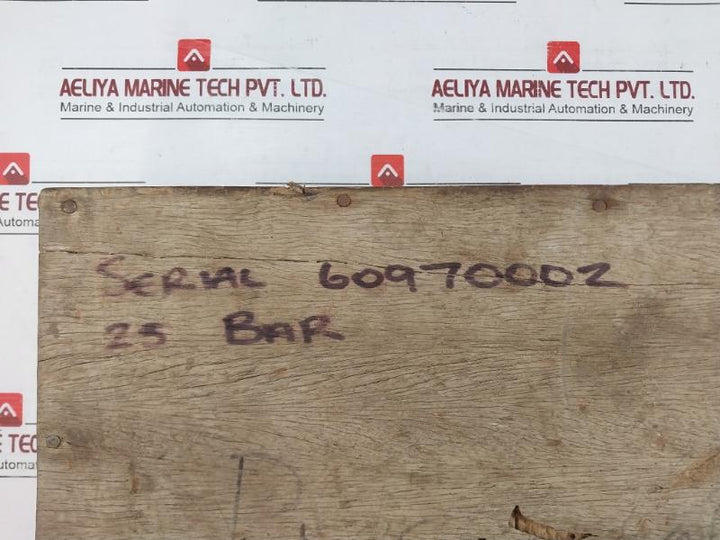 Budenberg 316 S.S. Tube Standard Test Pressure Gauge 0-25 Bar