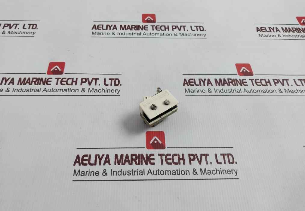 Burgess Roller Lever Limit Switch