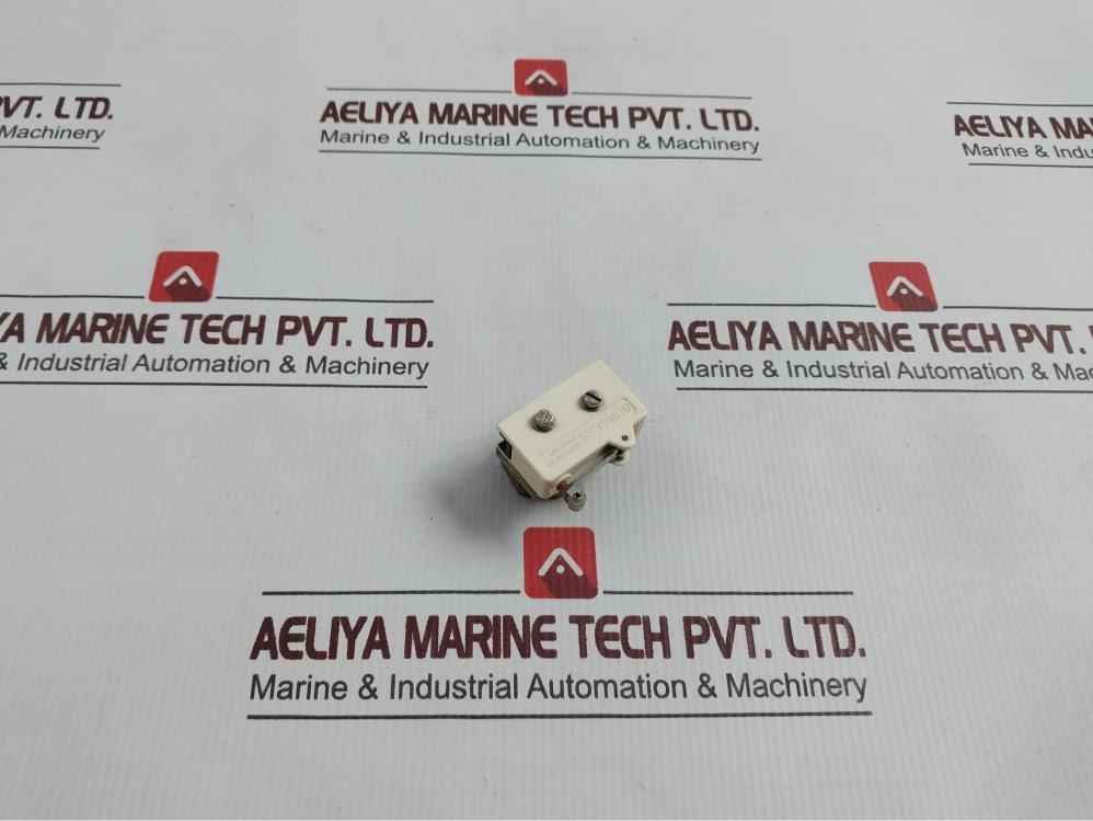 Burgess Roller Lever Limit Switch