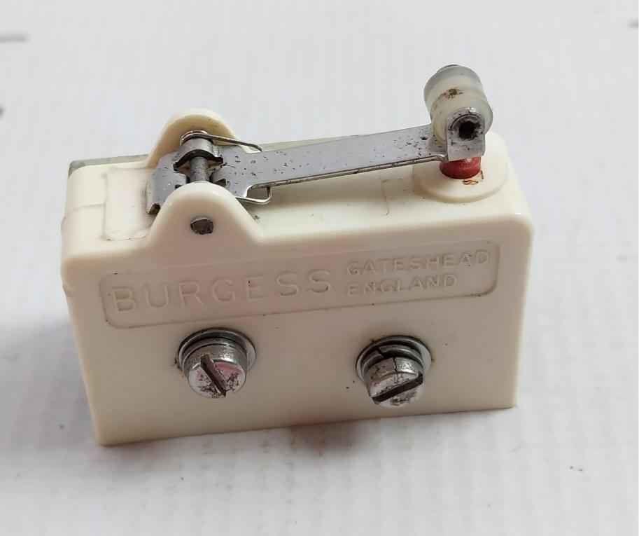 Burgess Roller Lever Limit Switch