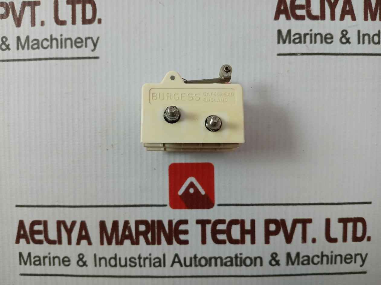 Burgess V13Lr Limit Switch 10A/250Vac