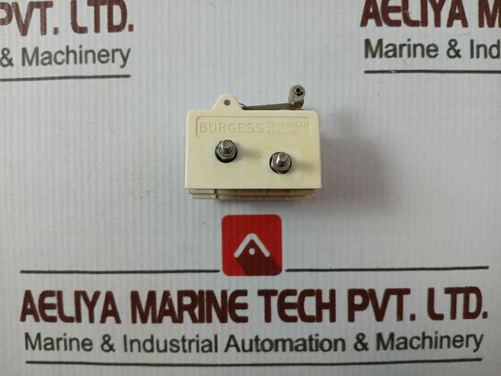 Burgess V13Lr Limit Switch 10A/250Vac