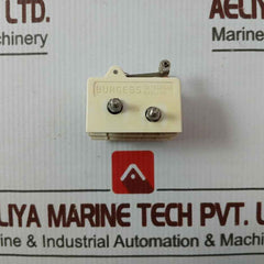 Burgess V13Lr Limit Switch 10A/250Vac