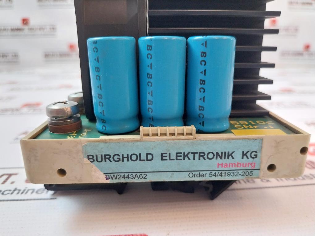 BURGHOLD Printed Circuit Board BW2443A62 54/41932-205