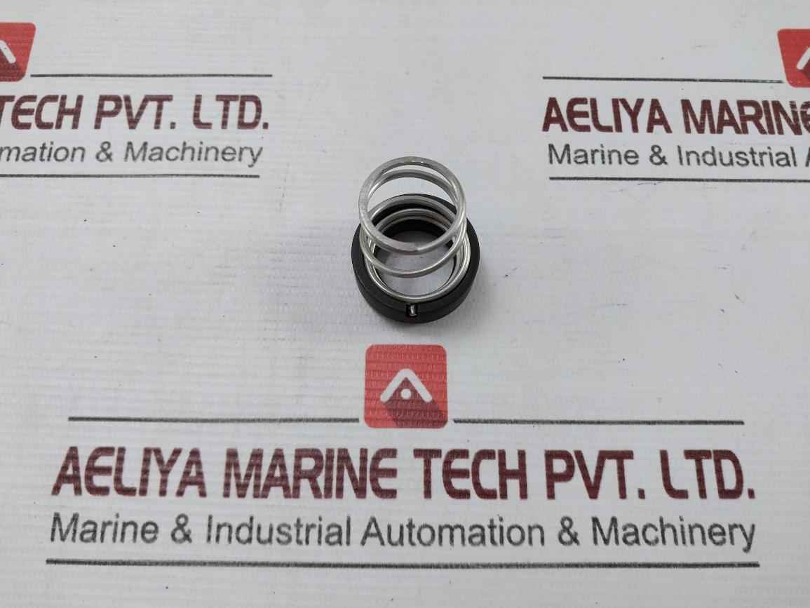 Burgman Specialized Mechanical Spring For A/E Pump