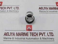 Burgman Specialized Mechanical Spring For A/E Pump