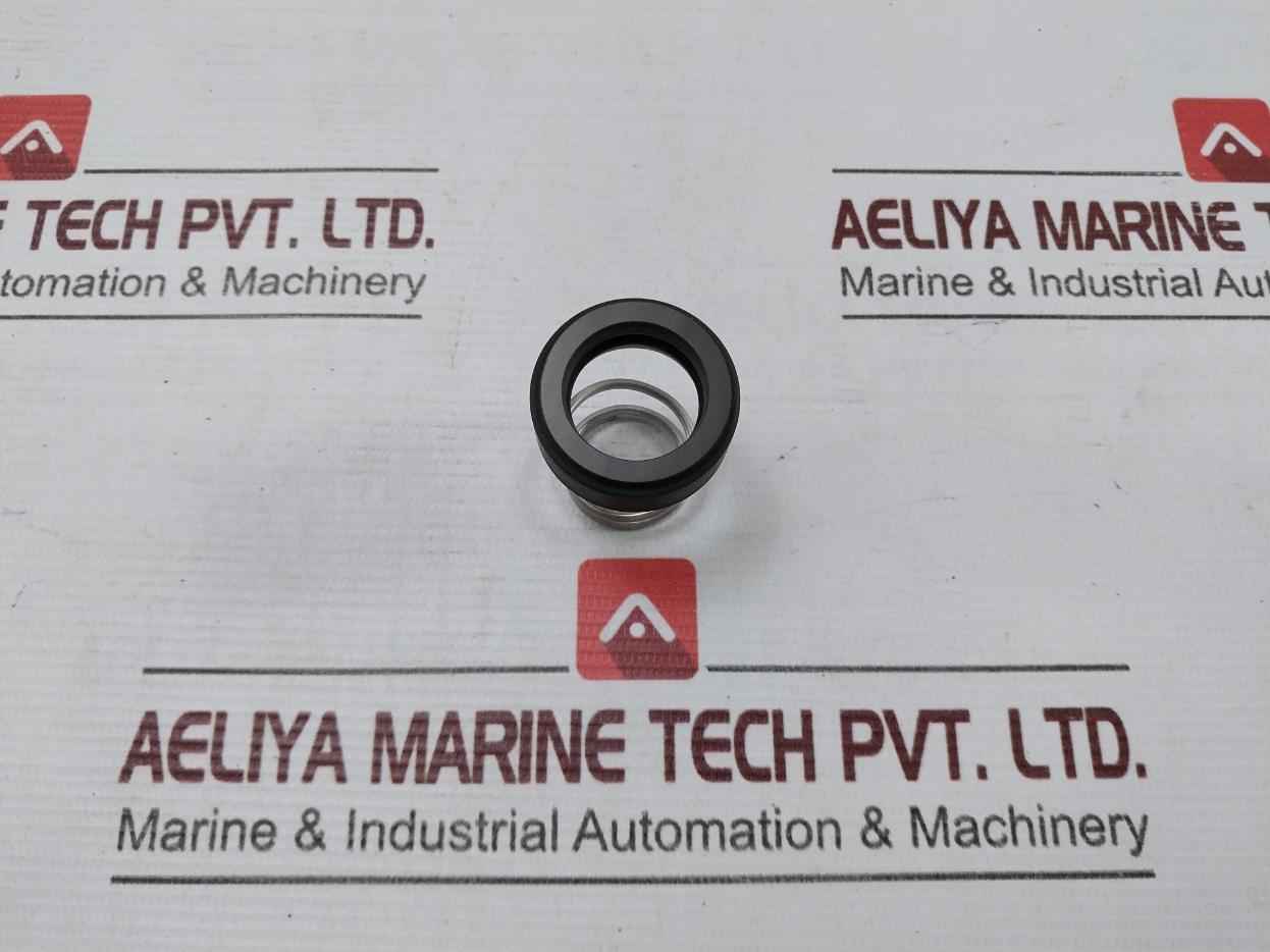 Burgman Specialized Mechanical Spring For A/E Pump