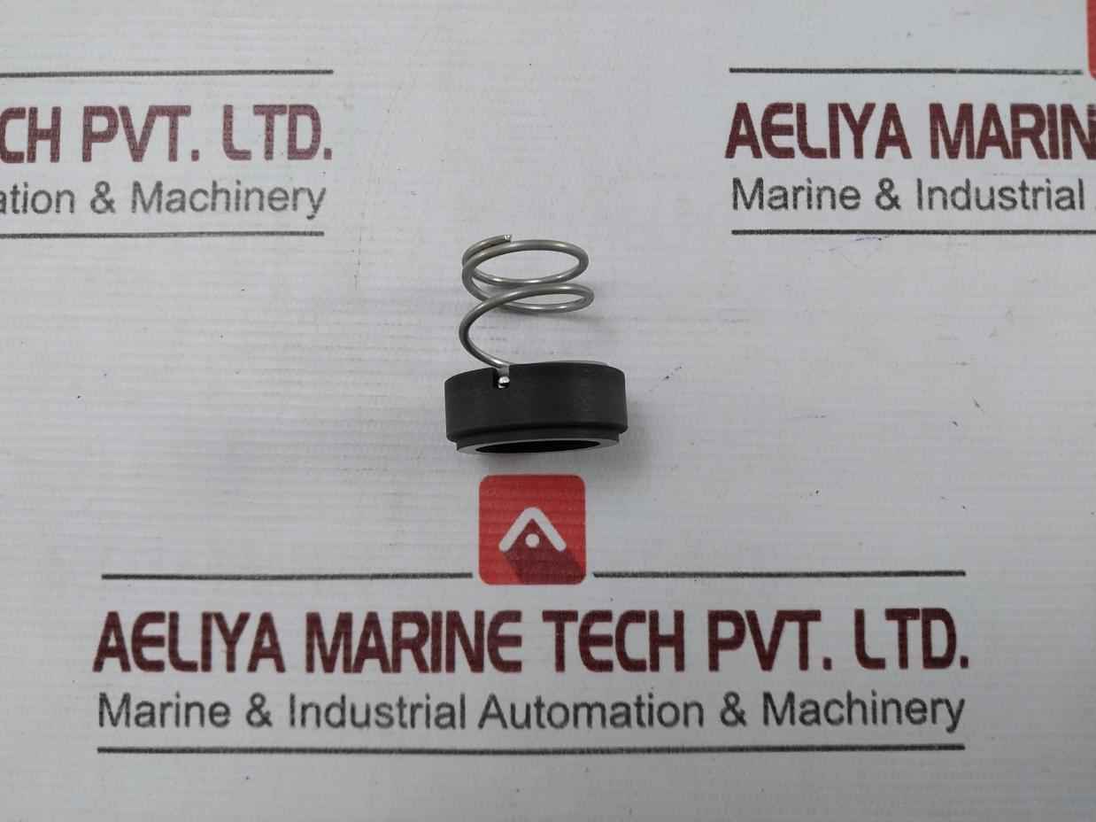 Burgman Specialized Mechanical Spring For A/E Pump