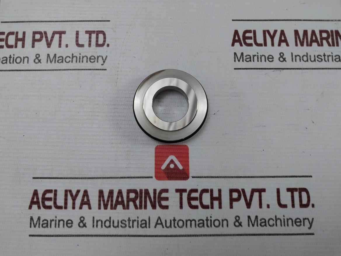 Burgman Specialized Mechanical Spring For A/E Pump