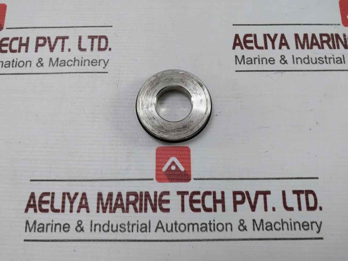 Burgman Specialized Mechanical Spring For A/E Pump