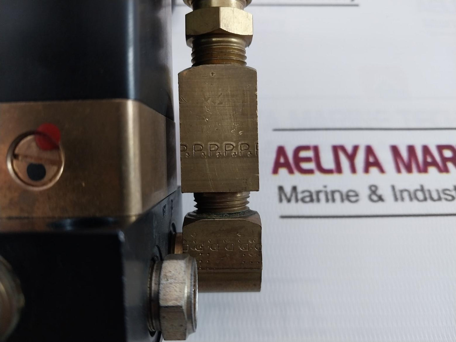 Burkert 0331 C 5/32 Fkm Br Dual Solenoid Valve 24V Dc 8W