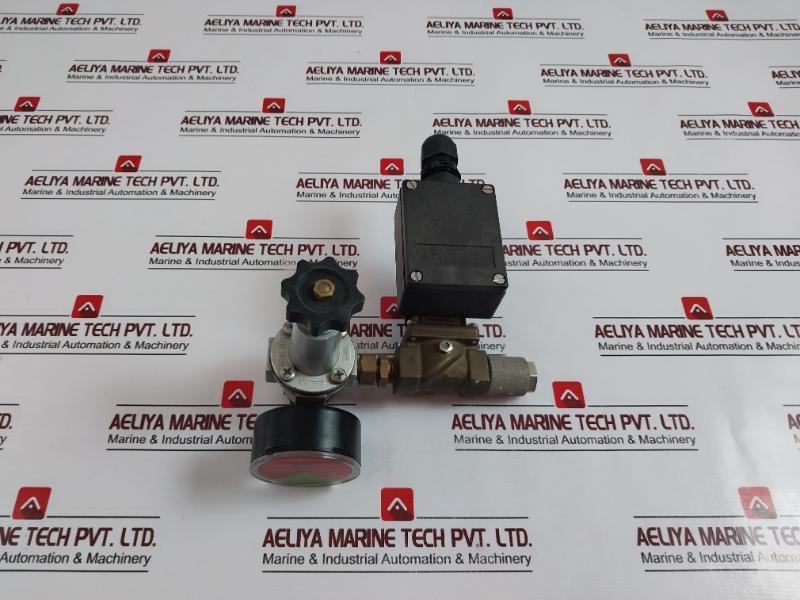 Burkert 5281 A 13,0 Nbr Ms Solenoid Valve, Pressure Gauge, Relief Valve Assembly