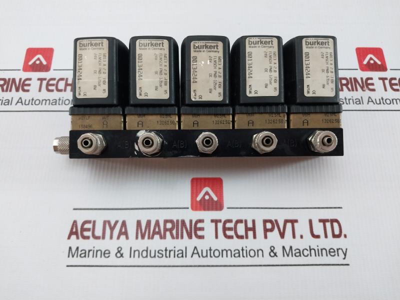 Plunger Valve Assy 24Vdc 8W Burkert 6013 A 2,0 Fkm Ms