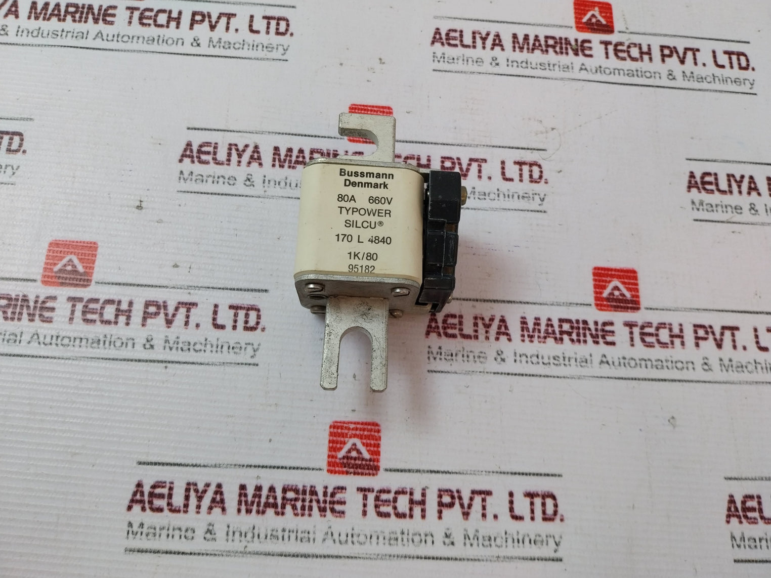 Bussmann 170 L 4840 Fuse 80A 660V