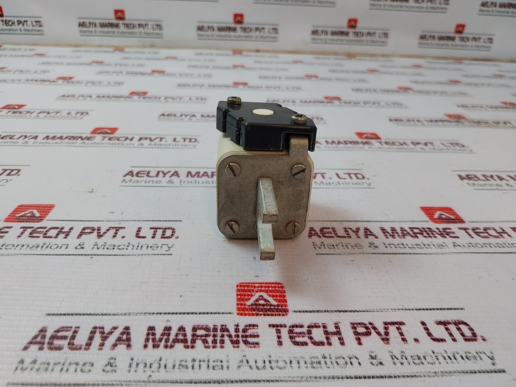 Bussmann 170 L 4840 Fuse 80A 660V