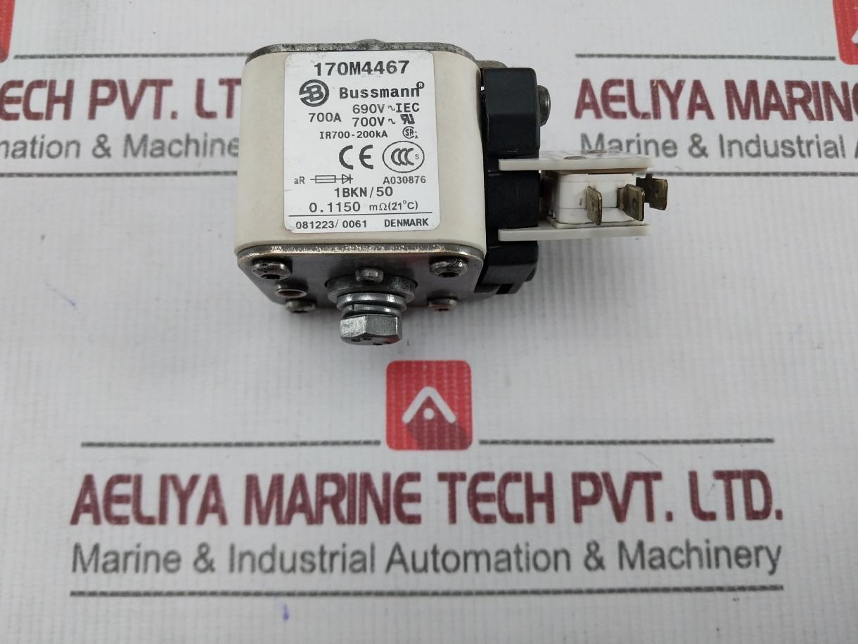 Bussmann 170M4467 Industrial Fuse 0.25A 250Vdc 170M4467