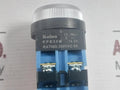 Button Switch 500V Koino Kpb30M 10A