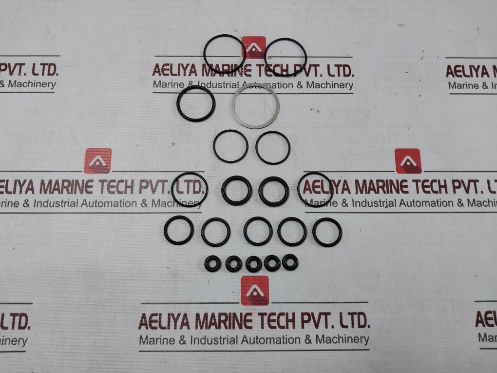 Buxton R10701-2 Air Drive Cycling Valve Repair Kit Ss033D