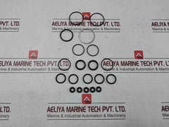 Buxton R10701-2 Air Drive Cycling Valve Repair Kit Ss033D