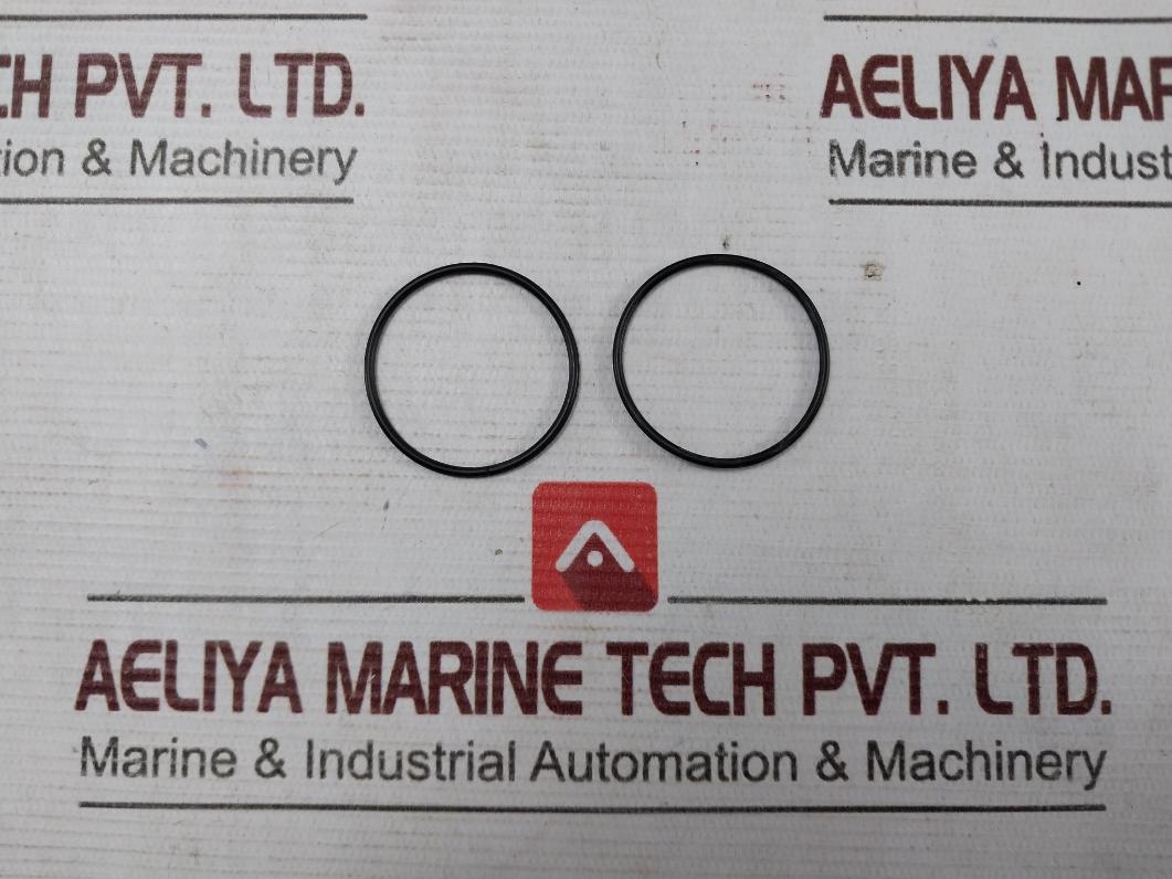 Buxton R10701-2 Air Drive Cycling Valve Repair Kit Ss033D