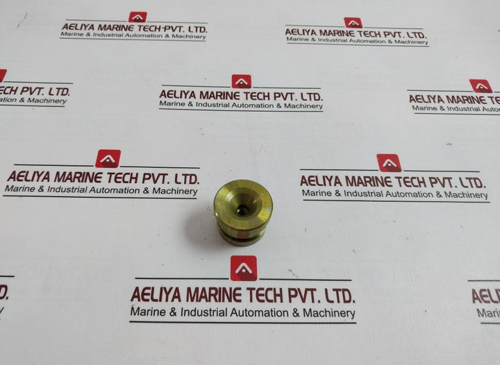 Bv-201 Plug For Water Test - Boiler Safety & Relief Valve