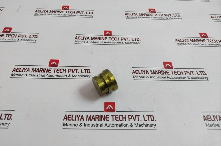 Bv-201 Plug For Water Test - Boiler Safety & Relief Valve
