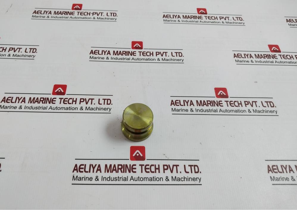 Bv-201 Plug For Water Test - Boiler Safety & Relief Valve