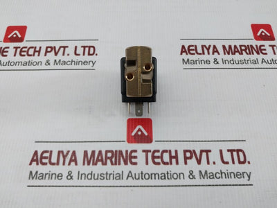 Bv01 L2 1/4 Solenoid Valve Rapa 0-24Bar